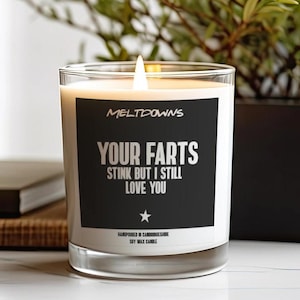 Le tue scoregge puzzano ma ti amo ancora candela - Regalo per un fidanzato Regalo, una candela di anniversario Regalo per una fidanzata, un regalo carino per lei