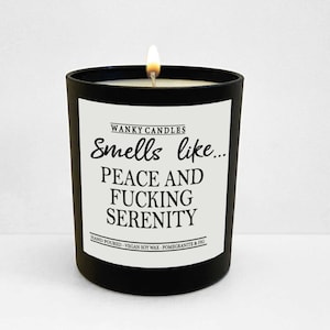 Wanky Candle , Rude Candle, Funny Candle ,Friendship Gift, Funny Gift For Friend, Rude Candle, Swearing Peace and serenity WCBJ74