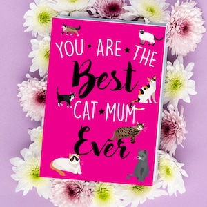 Vous êtes la meilleure maman chat | Cadeau pour la fête des mères ou un anniversaire pour amoureux des chats - M3