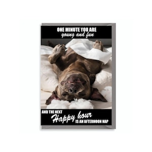 Cartes chien endormi Carte d'anniversaire grossier 40e, 50e, 60e, 70e, soeur, maman, carte de voeux, humour spirituel, rires plaisanteries, blague offensante, drôle C844
