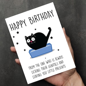 Carte d'anniversaire chat, cadeau papa chat, carte maman chat, carte d'anniversaire chats drôle, propriétaire de chat, pour elle, soeur, femme, petit ami, mari - C438