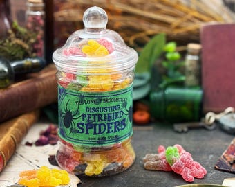 Petrified Spiders