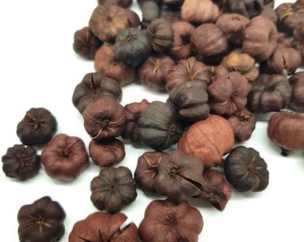 May include: A pile of dried brown flower buds, some are darker brown and some are lighter brown. The flower buds are scattered on a white surface.