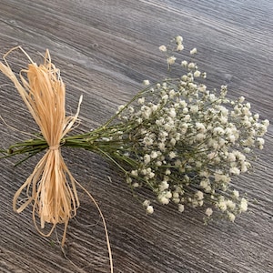 Mazzi di gypsophila essiccata, alito di bambino, fiori nuziali