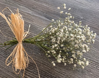 Manojos de gypsophila seca, aliento de bebé, flores de boda