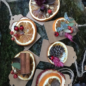 Set van zes gedroogde bloemen, feestelijke cadeaulabels, gedroogde bloemen, kerstversiering, cadeaulabels, gedroogde sinaasappels, kaneel,
