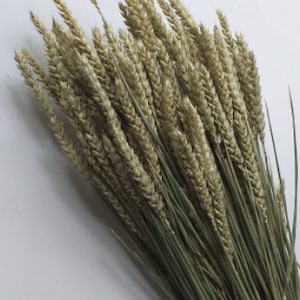 以下が含まれることがあります： ベージュ色の頭と緑色の茎を持つ、乾燥した小麦の茎の束