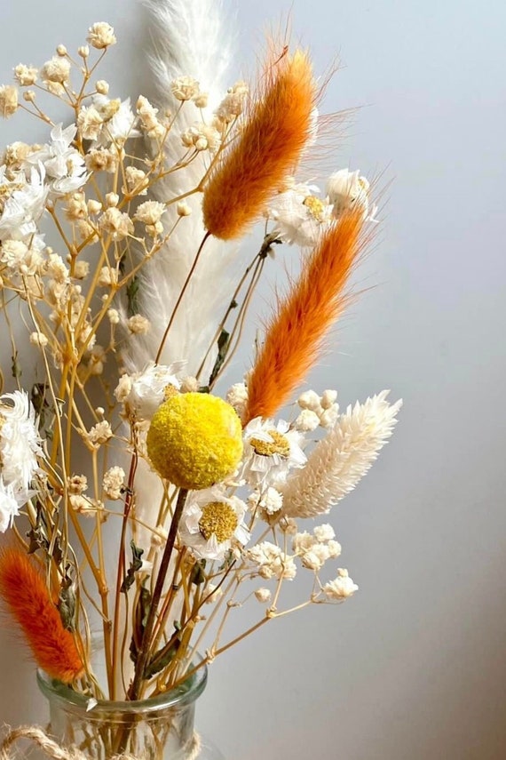 Kleiner Strauß aus getrockneten Blumen, Blumenstrauß, getrocknete Blumen, Bunny Tails, natürliche Blumen