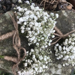 Boutonniere of dried flowers | Gypsophila | Baby's Breath | Buttonhole