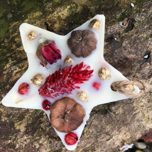 May include: A white star-shaped wax melt with dried flowers and gold accents. The wax melt is hanging from a twine string.