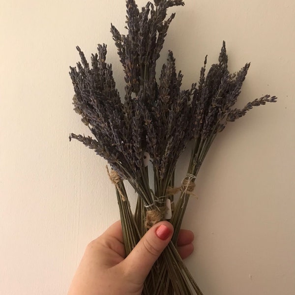 French lavender bunches,  boutonnière, buttonhole, lavender bundle, lavender