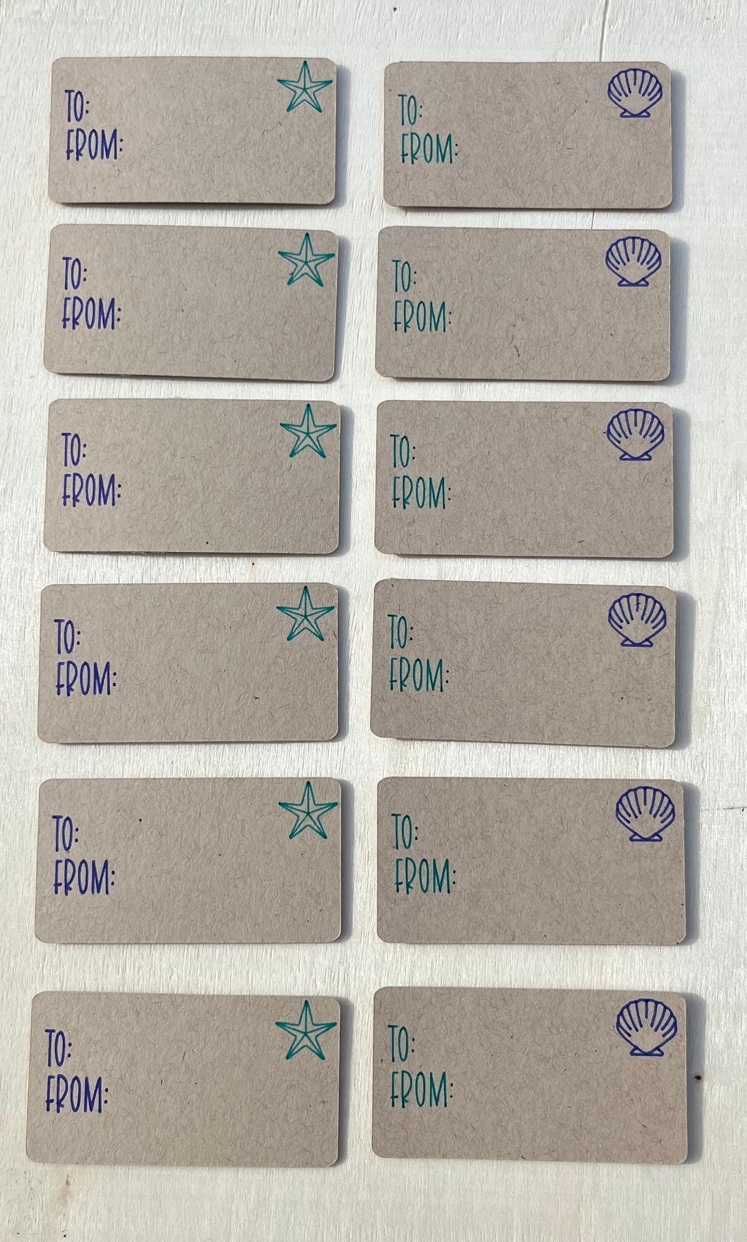 Sea Shell Label Seashell & Starfish Gift Tag Labels Set of 12 - Etsy