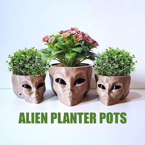 May include: Three light brown alien-shaped planters with smooth surfaces and dark, recessed eye sockets. The two smaller side planters contain green foliage, while the larger central planter holds a cluster of pink and yellow flowers. Text reads ALIEN PLANTER POTS.