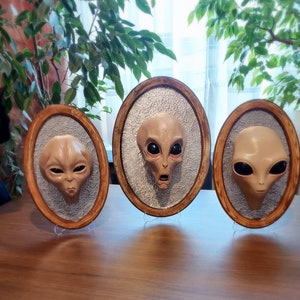 Alien Species 3d frames / Sci-fi, Roswell, Gift, Art, Collectable, Grey Aliens, UFO