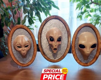Alien Species 3d frames / Sci-fi, Roswell, Gift, Art, Collectable, Grey Aliens, UFO