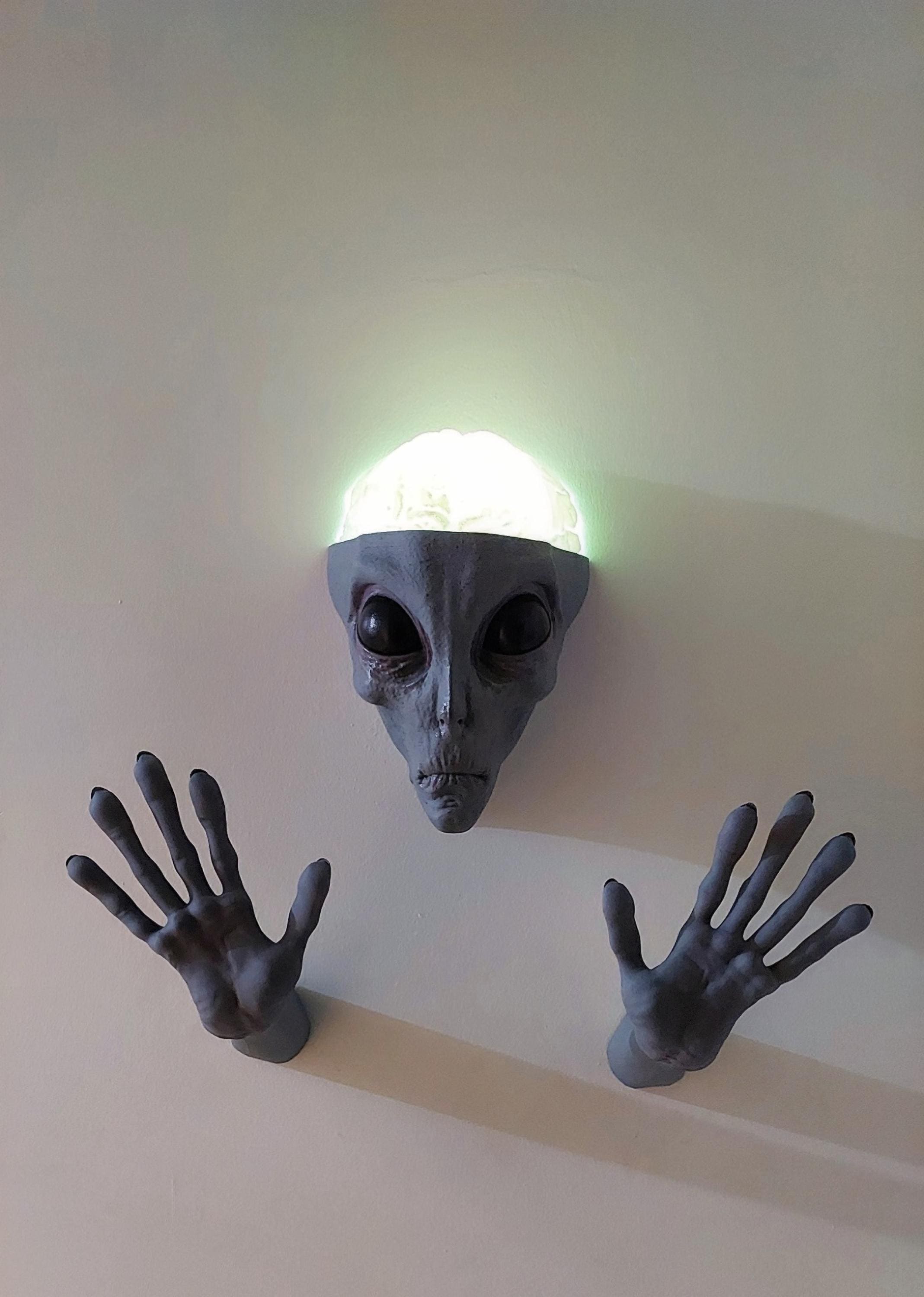 Life Size Alien Head Wall Decor, RGB Illuminated With Remote Control- 1 ...