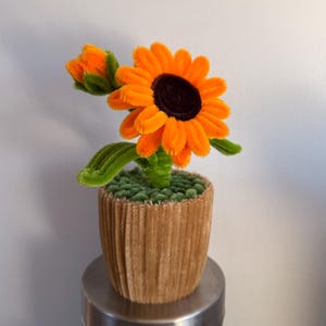Puede incluir: Un pequeño girasol naranja y marrón con hojas verdes en una maceta marrón. La maceta está sobre una tapa plateada.