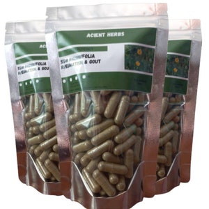 Organiczne kapsułki z naturalnym ekstraktem z liści Sidaguri - Organiczny ekstrakt z Sida Rhombifolia 500 mg 10:1 - Acient Herbs