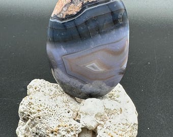 May include: A polished, oval-shaped agate stone with bands of blue, gray, and tan hues. The stone rests on a piece of white, porous coral, creating a natural contrast. The agate's surface is smooth and reflective, showcasing its unique patterns and colors.