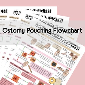 Ostomy Pouch Flowchart - Clinical Guide - Nursing School -  Digital - Printable