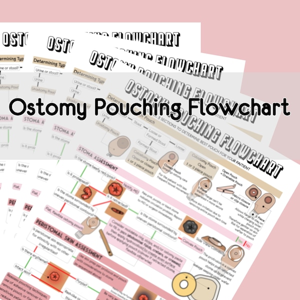 Stomabeutel Flussdiagramm - Klinischer Ratgeber - Pflegeschule - Digital - Printable