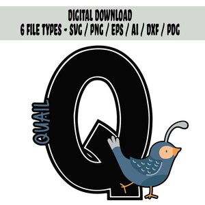 Q é para codorna Animal Letter Download digital para Cricut Silhouette e máquina de corte a laser/ arquivo Cute Quail SVG/png pdf ai esp / arquivo dxf