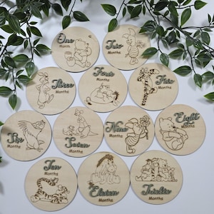 Wooden Baby Milestone Discs – Bear and friends, baby photo prop milestone disks, one to twelve month old disc, baby first photo disc
