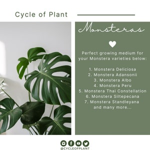 May include: A green Monstera plant with large, fenestrated leaves. The text "Monsteras" is written in a decorative font above a heart symbol. The text below the heart reads "Perfect growing medium for your Monstera varieties below:" followed by a list of Monstera varieties.