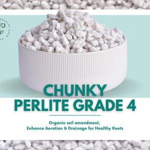 Chunky Perlite Grade 4 - Premium, Large LIghtweight Soil Amendment for Aeration & Drainage | Perfect for Houseplants | Cycle of Plant