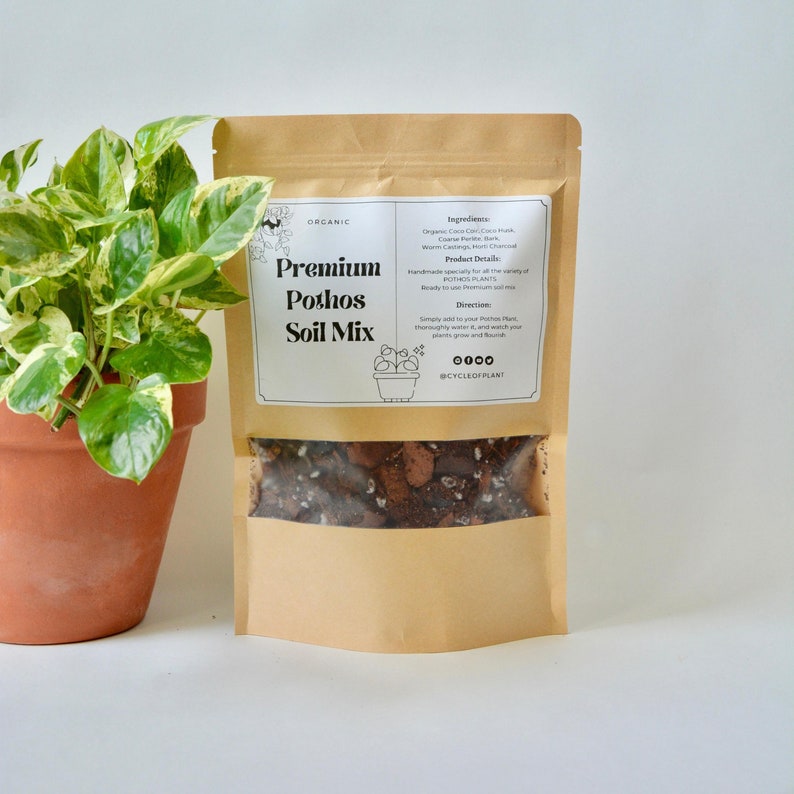Terreau de qualité supérieure pour pothos - Mélange bio et granuleux pour des plantes grimpantes vigoureuses | Terreau préparé à la main pour les pothos | Cycle de vie des plantes image 2