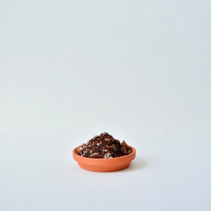 May include: A terracotta pot filled with a mixture of brown soil and white perlite.