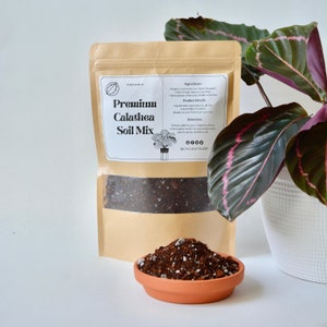 Premium Calathea Potting Mix - Organic, Well-Draining Blend for Thriving Calatheas | Cycle of Plant