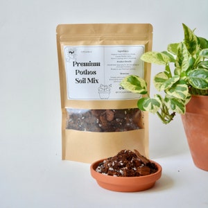 Premium Pothos Potting Mix - Organic, Chunky Blend for Thriving Vines | Hand-Mixed Soil for Pothos Plants | Cycle of Plant