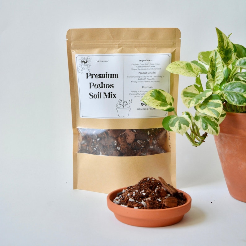 Terreau de qualité supérieure pour pothos - Mélange bio et granuleux pour des plantes grimpantes vigoureuses | Terreau préparé à la main pour les pothos | Cycle de vie des plantes image 1
