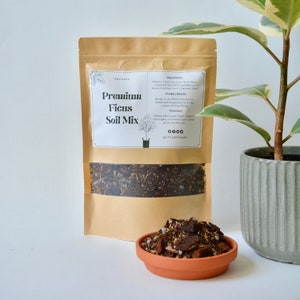 Premium Ficus Potting Mix - Organic Hand-Mixed Soil for Healthy Growth | Ideal for Fiddle Leaf Fig & Rubber Plants | Cycle of Plant