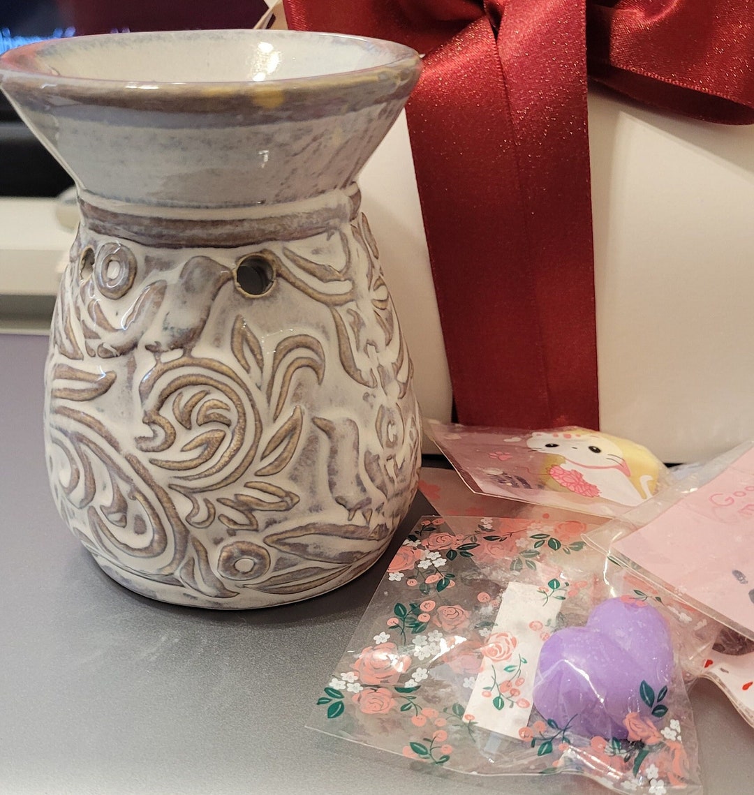 Diffuser Set and 10 Scented Wax Melters Etsy