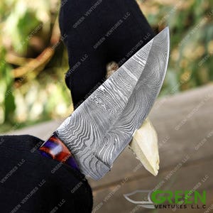 May include: A close-up of a Damascus steel knife with a red and blue handle. The knife is sharp and has a distinctive pattern on the blade.
