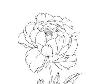 Dibujos de flores para colorear / Ilustraciones de flores dibujadas a mano (PDF y JPG)