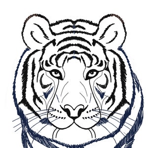 Animals printable coloring sheet | coloring pages | kids coloring pages | kids summer activity | animals pictures