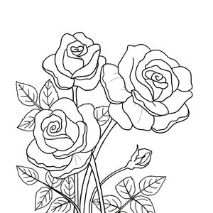 Printable Floral coloring sheets coloring pages adult coloring pages kids coloring pages coloring flowers image 1