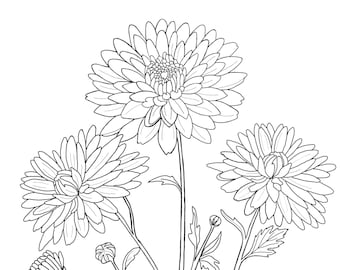Printable Floral coloring sheets | coloring pages | adult coloring pages | kids coloring pages | coloring flowers