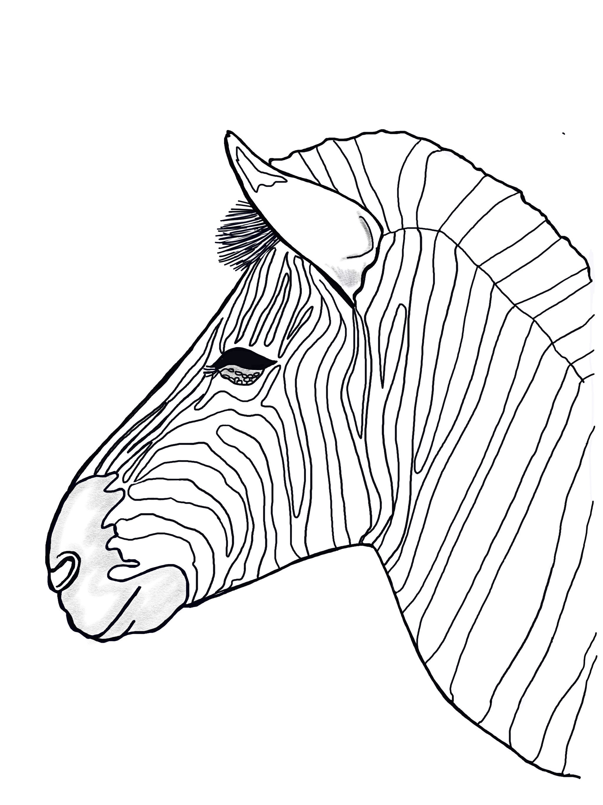 Zebra Head Coloring Page
