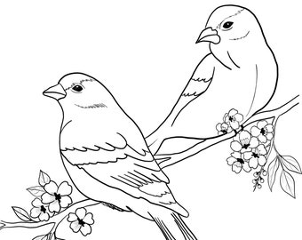 bird coloring page etsy