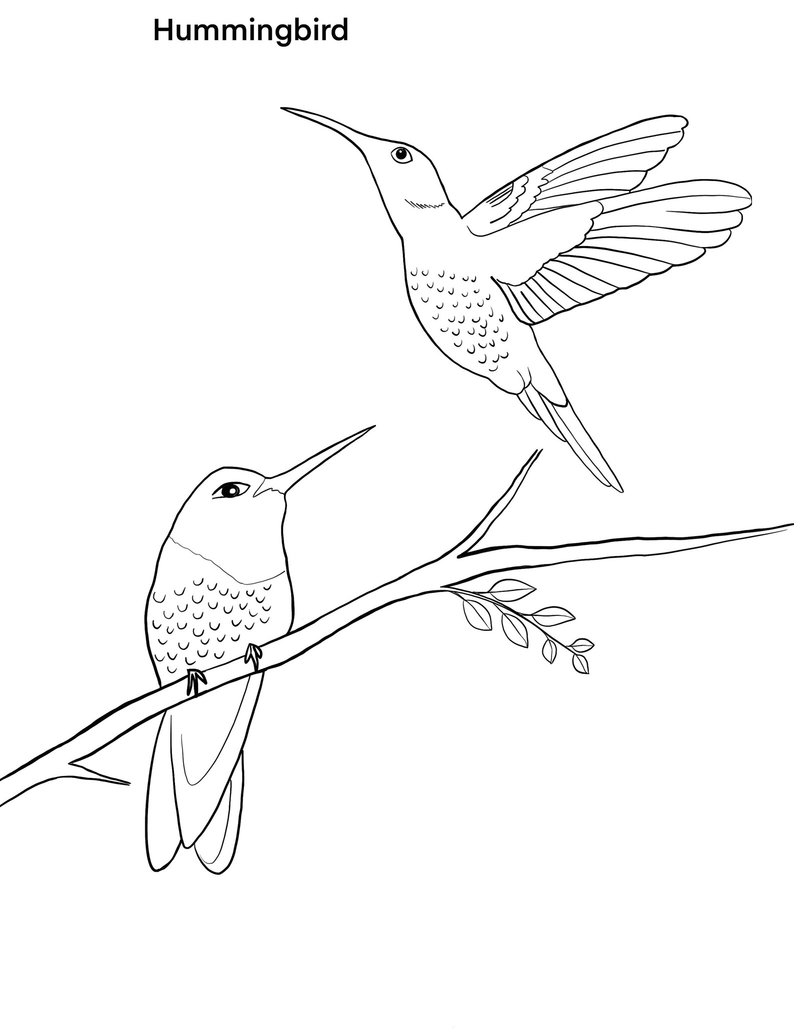 Birds Printable Coloring Sheet Coloring Pages Kids Coloring Pages Kids