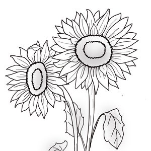 May include: A black and white line drawing of two sunflowers with stems and leaves.