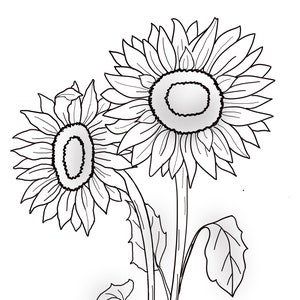 Printable Floral coloring sheets coloring pages adult coloring pages kids coloring pages coloring flowers image 9