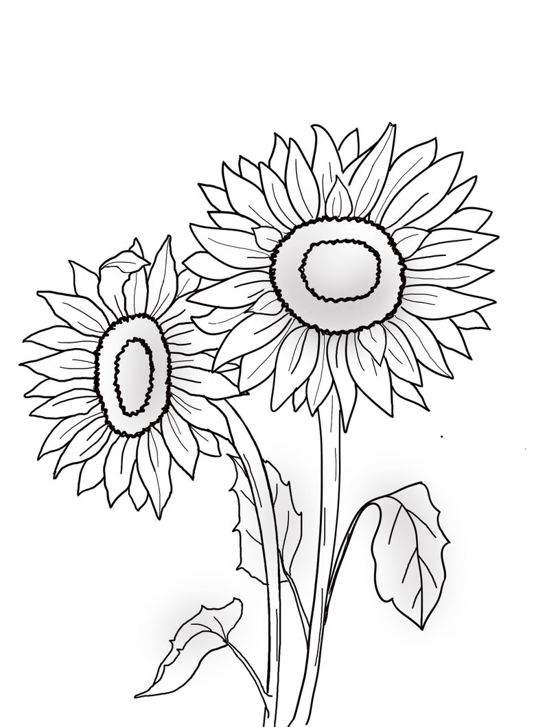 Printable Floral coloring sheets coloring pages adult coloring pages kids coloring pages coloring flowers image 9