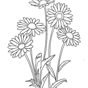 Printable Floral coloring sheets coloring pages adult coloring pages kids coloring pages coloring flowers image 6
