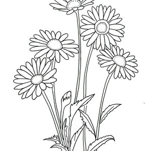 May include: A black and white line drawing of a bouquet of five daisies with stems and leaves.
