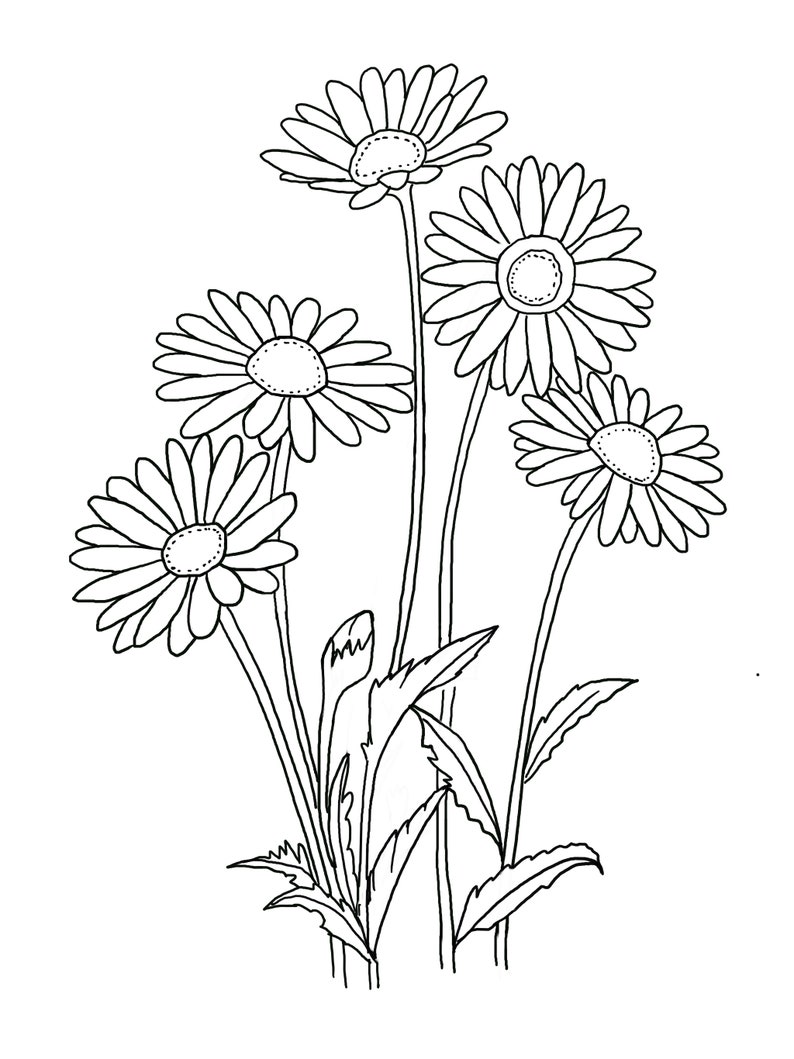 Printable Floral coloring sheets coloring pages adult coloring pages kids coloring pages coloring flowers image 6
